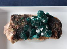 Dioptas xx, Tantara-Mine, Shinkolobwe, DR Kongo