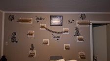 Catwalk Katzen Kletterwand