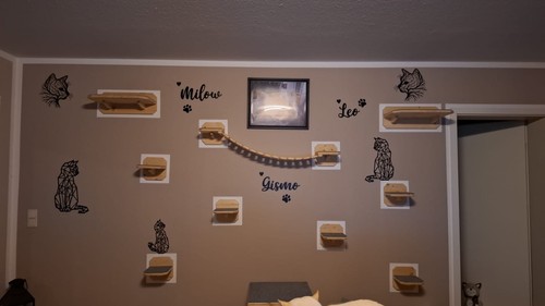 Catwalk katzen kletterwand - katzen,