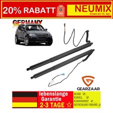 2x Gasfeder Powerlift