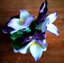 China Bone Porzellan Blumenkorb Radnor England alt