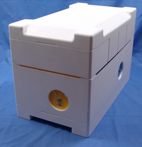 Quatri hive königinnen - quatri-hive,
