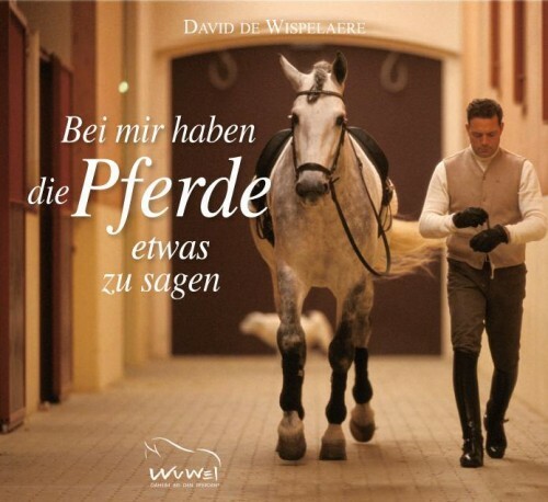 David wispelaere bei - de,