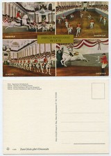 53935 - Spanische Hofreitschule Wien - alte Ansichtskarte