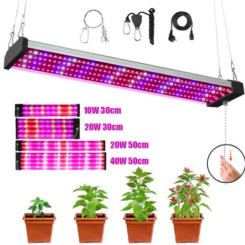 Pflanzenlampe led grow - pflanzenlampe,