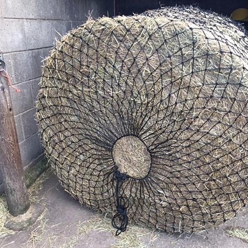 Ballennetz heulage heu slow - ballennetz,