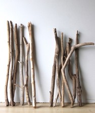 Treibholz Schwemmholz Driftwood 13  Äste  Garderobe  52-69 cm