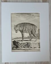 1767 Lithographie Kunstdruck