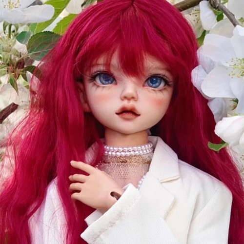 Bjd doll resin - doll,