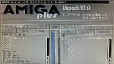 AMIGA plus Workbench Version