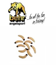 Behr Bienenmaden Jumbo mit braunen Kopf Forellen Maden