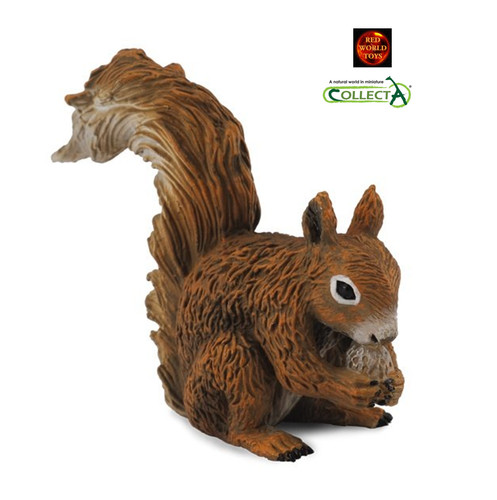 Rotes eichhörnchen british - eichhörnchen,