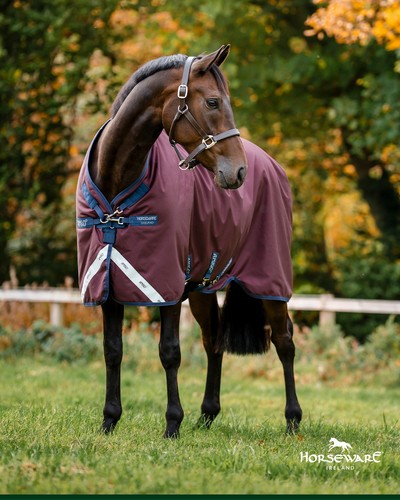 Horseware amigo 1200d - horseware,