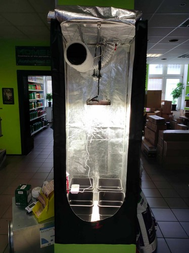 Led growset komplettset - growset,
