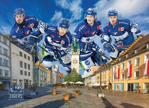 Puzzle straubing - (1000,