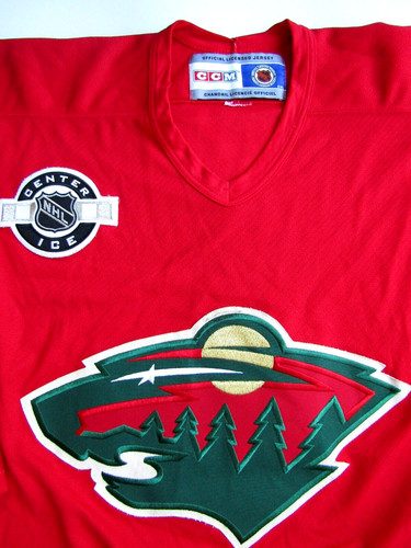 Minnesota wilds eishockey - minnesota,