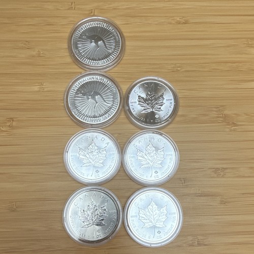1oz silbermünze maple leaf - 7x,