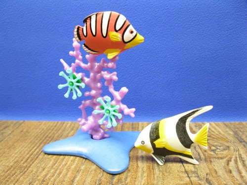 Fische koralle tiere - &,