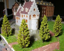 10 dunkelgelbgrüne Tannen