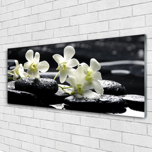 Glasbilder wandbild druck auf - glasbilder,