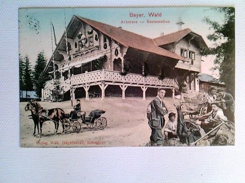 Bayer wald arbersee - bayer.,