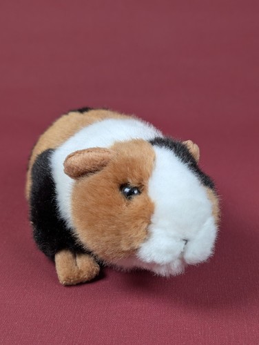 Semo meerschwein - semo, ❤️