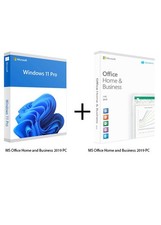 Windows 11 Professional OEM &