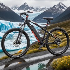 29 Zoll E-Bike M920 250W Elektrofahrrad 36V 13Ah Cityräd Damen/Herren eBike MTB