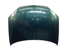 Motorhaube Haube Dschungel