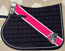 Eskadron VS bicolor Navy pink 