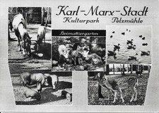 Ansichtskarte DDR, Karl - Marx - Stadt, Chemnitz, Pelzmühle, 5 Abbildungen