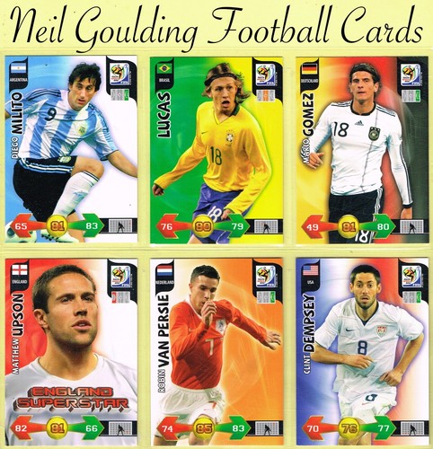Panini 2010 - panini, wm