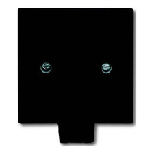 Busch-Jaeger Zentralscheibe