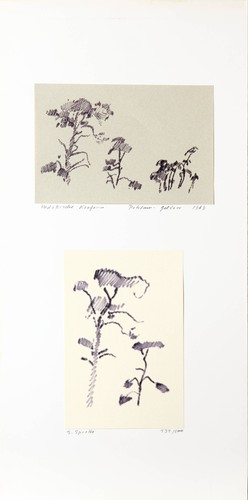 Serigraphien von siegward - serigraphien,