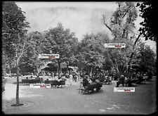 Alte Foto Glasplatte Negativ