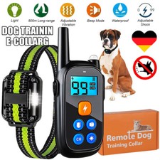 2600ft Elektroschock Pet Dog