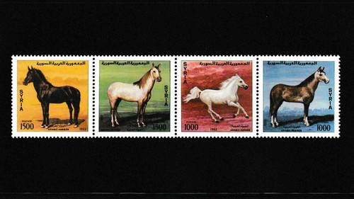 Arabische pferde 1994 - arabische,