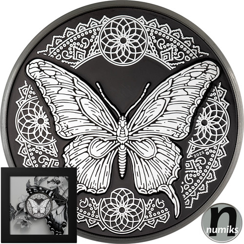 Butterfly schmetterling - butterfly,