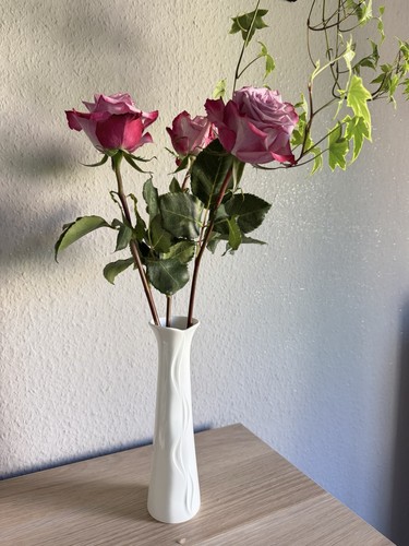 Vintage royal porzellan - vintage,