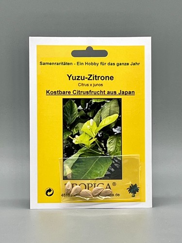 Yuzu zitrone - zitrone, (citrus