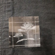 3D GLASQUADER Bäume