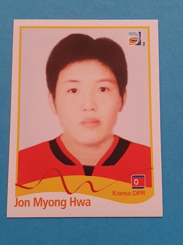 Panini 2011 11 - panini, wm