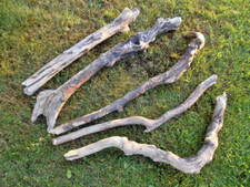 5x besondere Skulptur Schwemmholz Treibholz Tier Schlange Terrarium Deko 63-78cm