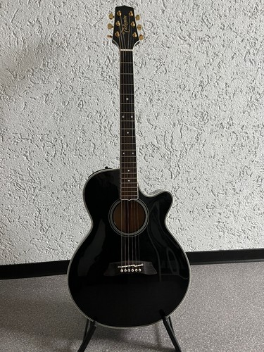 Takamine sef 391 - , sef-391