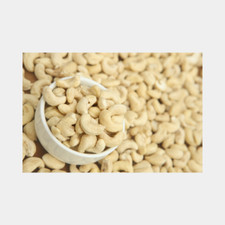 10 kg BIO Cashewkerne ganz |