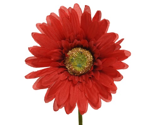 Künstliche gerbera 50cm - künstliche,
