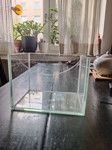 Hamster nagarium - hamster, 🐹