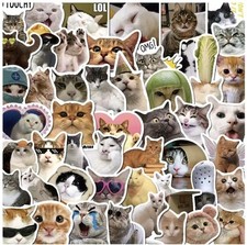 Katzen Meme Sticker Set