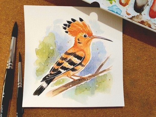Aquarell wiedehopf - aquarell,