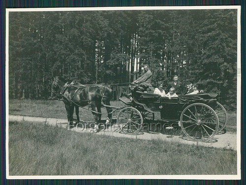 Foto pferd pferdekutsche - foto,